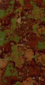 новый камуфляж1.webp