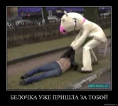 x_c0ea7f95.webp