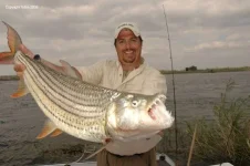 01 Tigerfish.webp