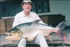 tiger_fish_37kg_jf_coupe_2003.webp