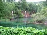 user32_pic1955_1249653990_thumb[1].webp