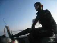 сарган1.webp