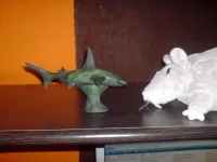 DSC00242.webp