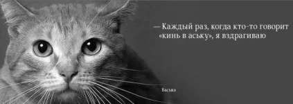 1187591485_12121.webp