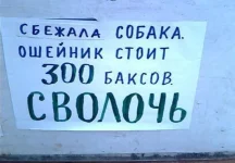 1244533822_a3.webp