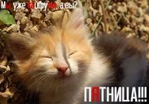 1233308279_a1.webp