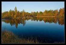 1222769632.webp