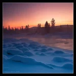 IMGP2850.webp