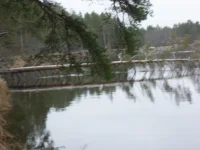 пра.webp