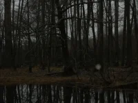 остров.webp