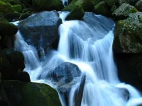 triberg-waterfalls.webp