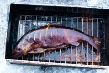 IMGP2721.webp