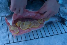 IMGP2726.webp