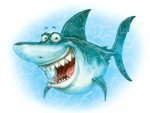 Funny_wallpapers_Shark_Frenzy_019078_.jpg