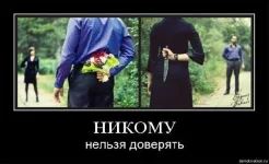 132566.webp