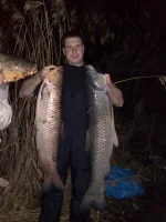 30112008227[1].webp