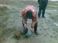 27122009.webp