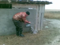 27122009(001).webp