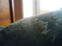 DSC00218.webp