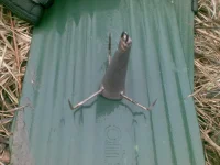 03012010(006).webp