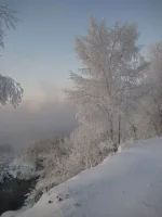 88.webp