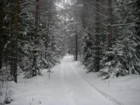 01.webp