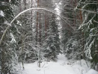 03.webp