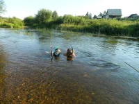 DSCN0672.webp