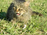 DSCN0678.webp