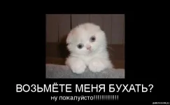 dem3220.webp