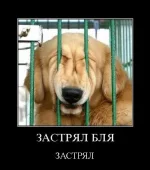 dem10.webp