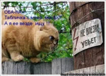 табличка.webp