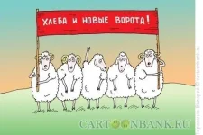 utrom-rano.webp