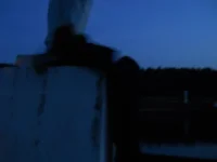DSCN0771.webp