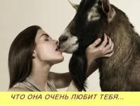 хе.webp