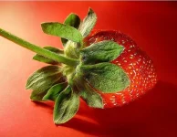 012.webp