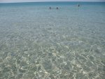 clear-sea.jpg