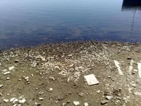 08062010640.webp