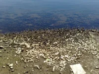 08062010641.webp