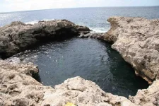 4284.webp