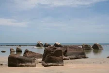 0030.webp