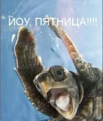 53770599_i4859.webp