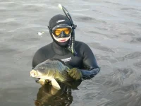 100_3254.webp