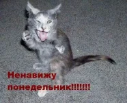 x_ed7ad420.webp