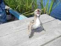 DSCN0792.webp