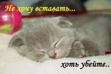 68f3212eef59.webp