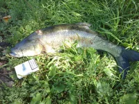 12082011059.webp