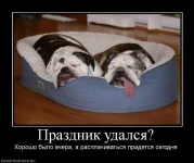 434614_prazdnik-udalsya.webp