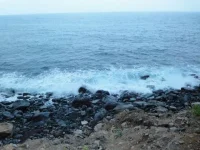 DSC00800.webp
