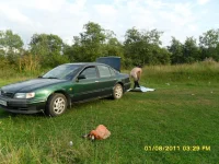 SAM_0013.webp